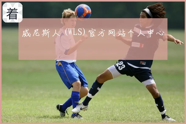 威尼斯人 (WLS)官方网站个人中心